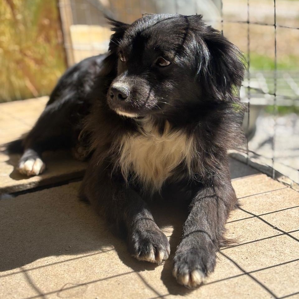 Benny